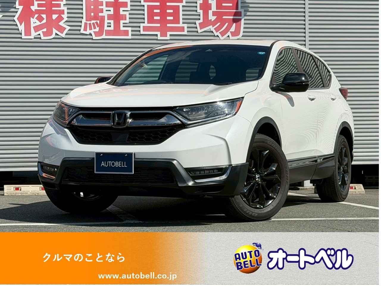 アルトラパンショコラ画像